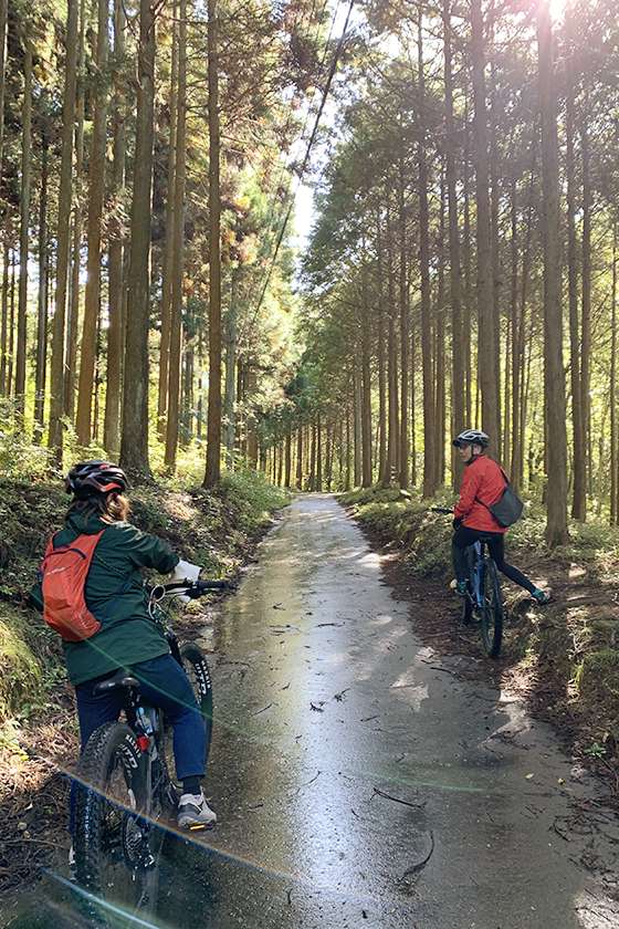 自転車で森林浴は有馬ならでは